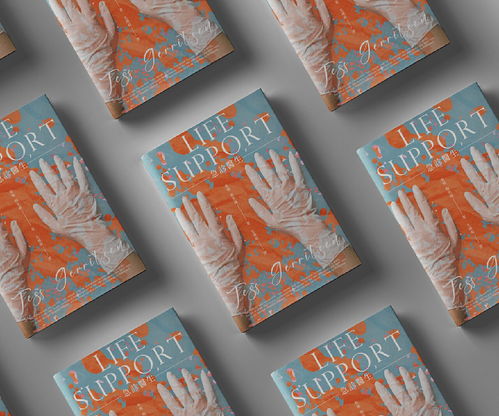 书籍设计 从封面到内容的艺术之旅