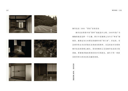 书籍设计 从概念到实体的艺术旅程